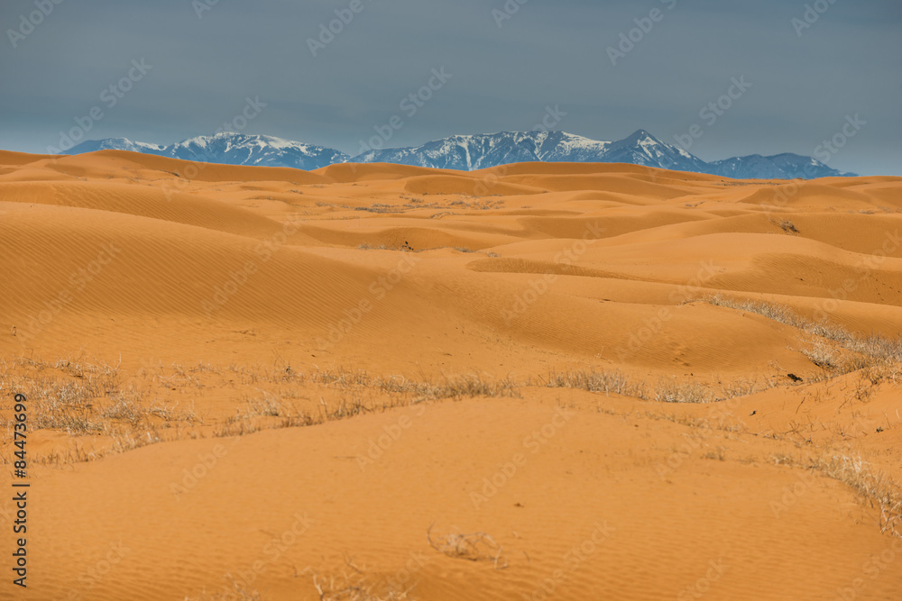 Desert Landscape with High Mountains