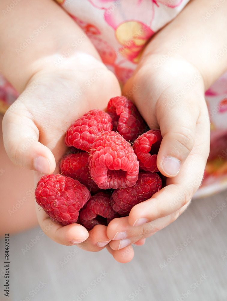 Child's hands holding fresh red raspberries Child's hands holding fresh red raspberries