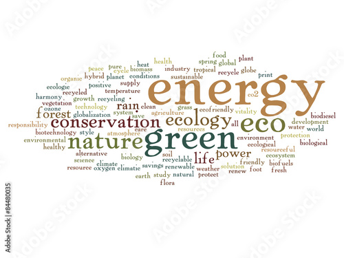 Conceptual ecology word cloud