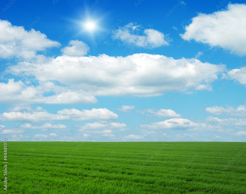 Green field, blue sky and sun