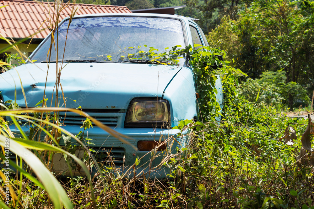 Vehicle abandoned to their fate and overgrown Vehicle abandoned to their fate and overgrown