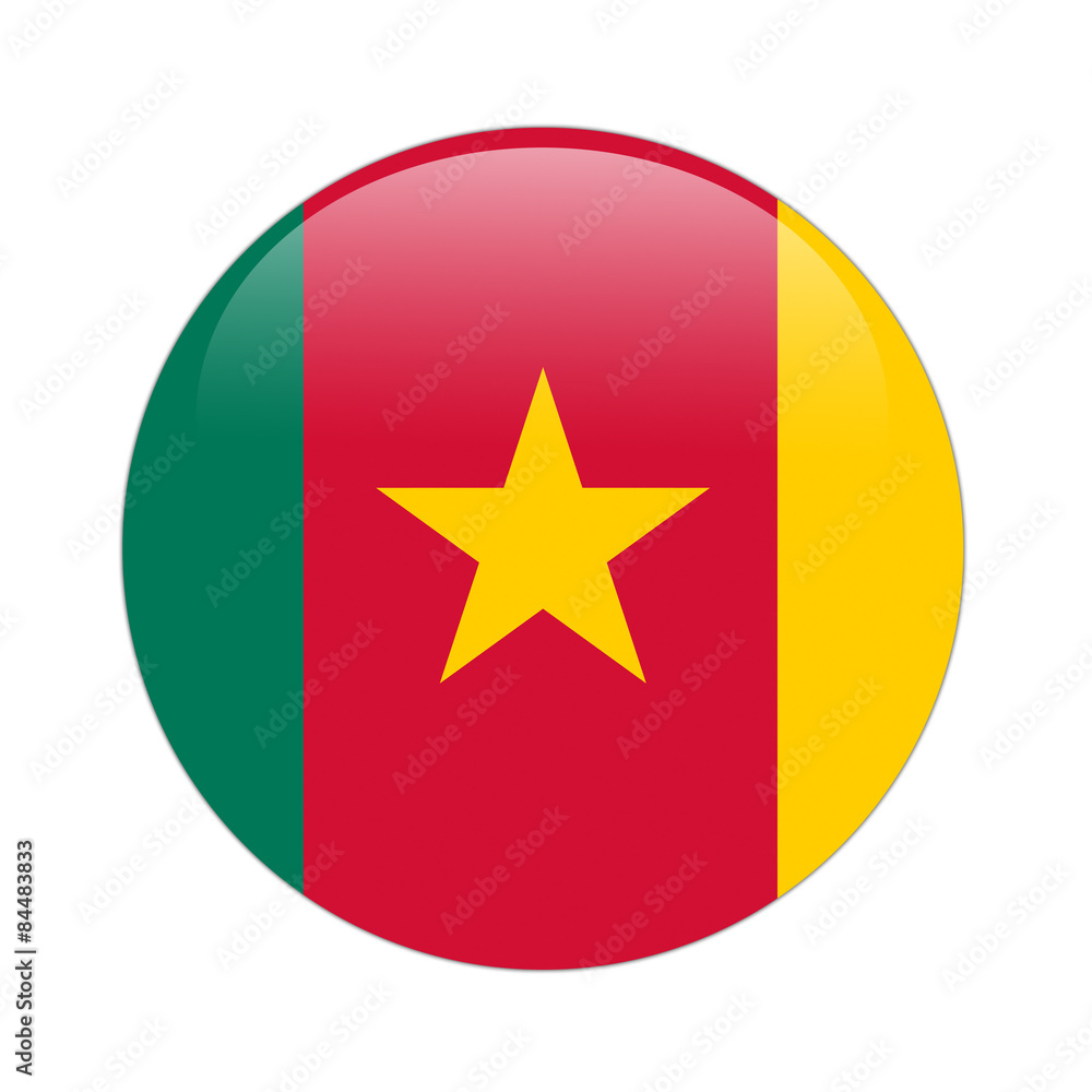 Cameroon flag button on white