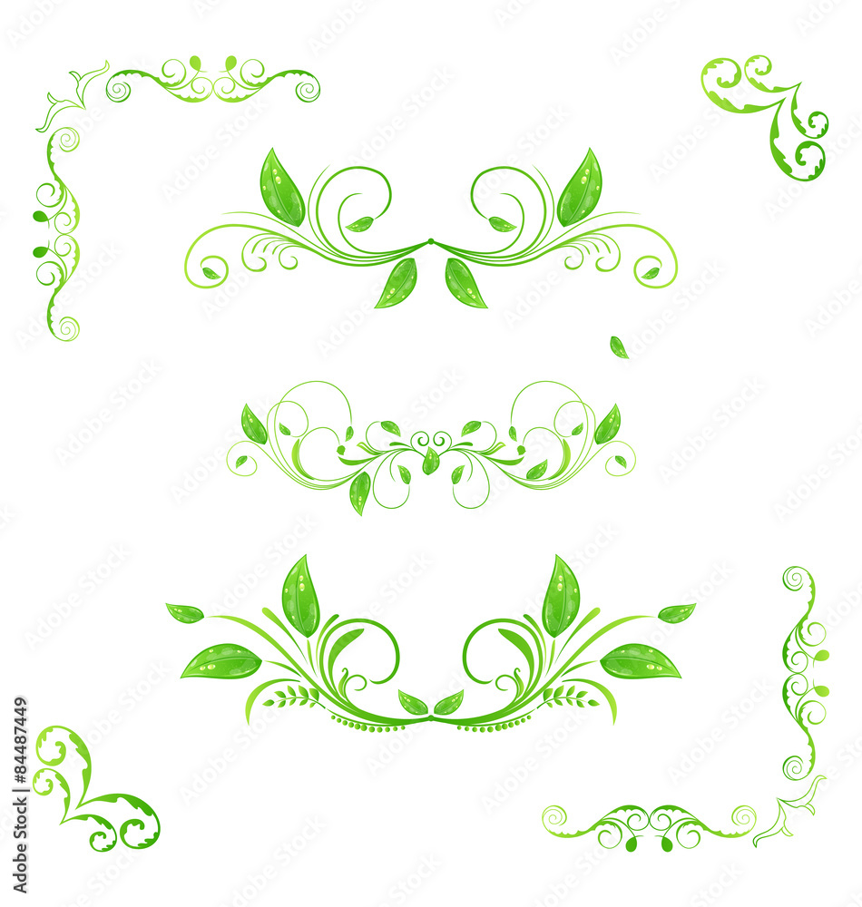 Set green floral elements with eco leaves isolated (2)