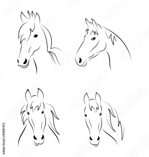 Fototapeta Naklejka Na Ścianę i Meble -  Set symbols outline head horse isolated on white background