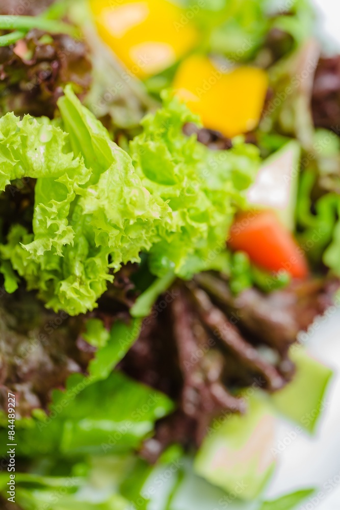 Salad, Lettuce, Food.