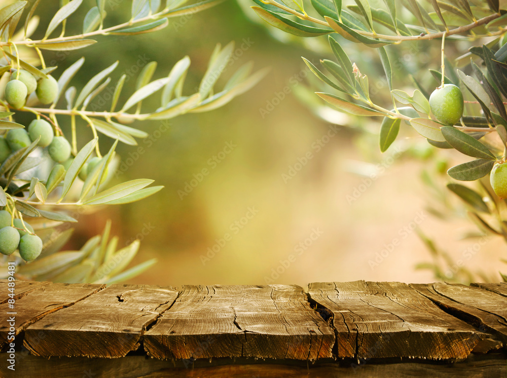 Olive trees with tabletop - obrazy, fototapety, plakaty 