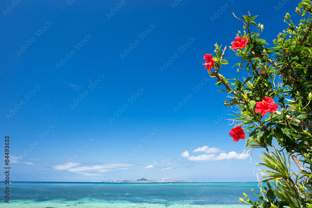 Naklejka premium 沖縄の海・ハイビスカスと伊江島
