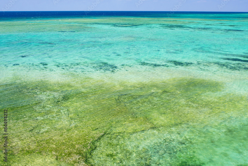 沖縄の海