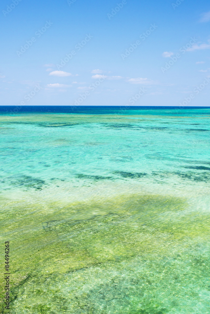 沖縄の海