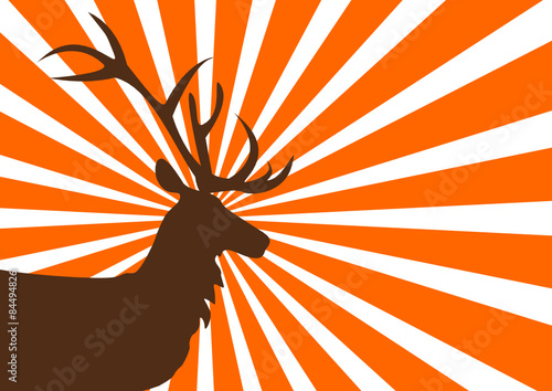 Hirsch