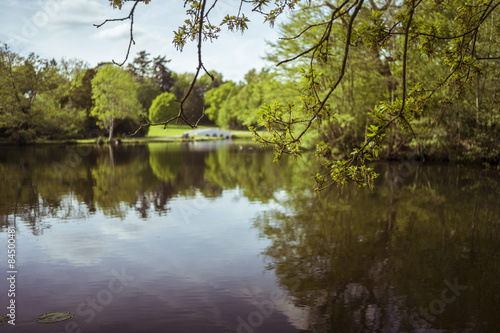 Branch on a lake with shallow depth of field.