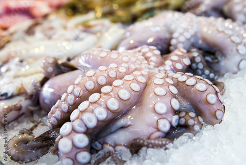 Mediterranean octopus and other seafood in the Greek market