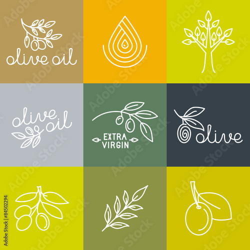 Vector olive oil icons and logo design elements