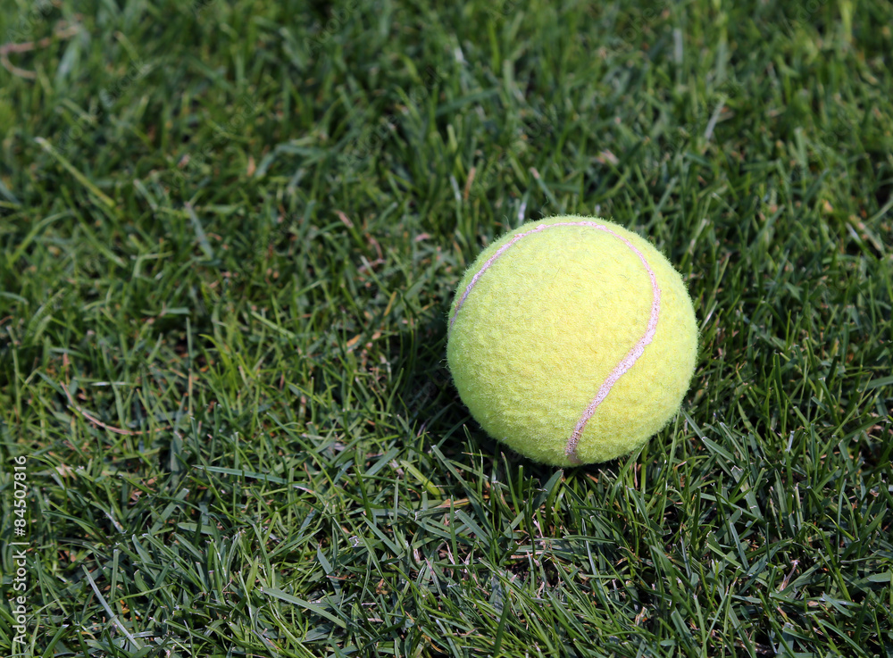 Yellow tennis ball on green grass