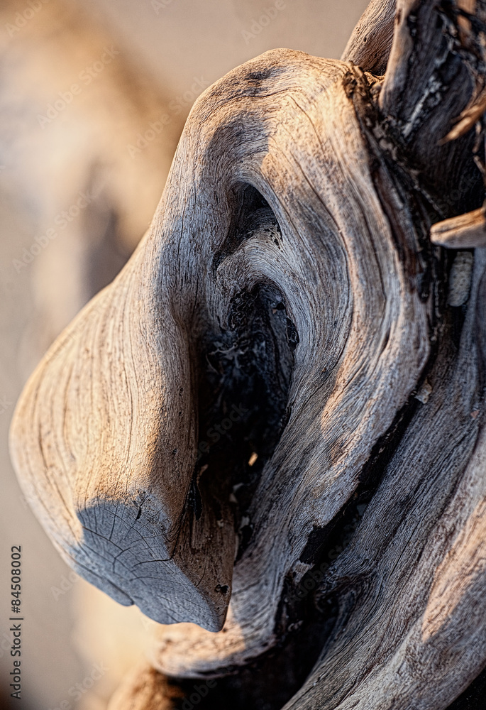Obraz premium Wooden texture damaged