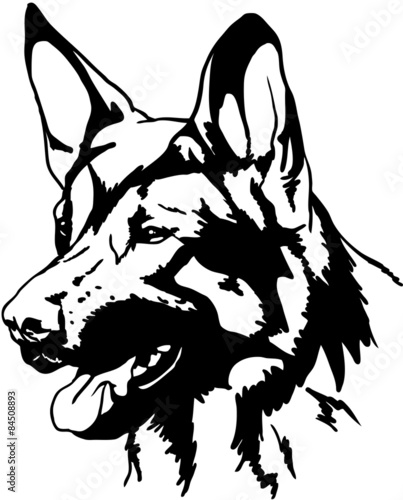 Schäferhund