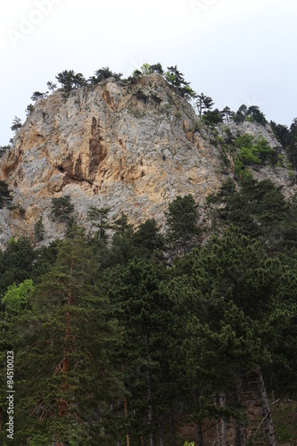 Slope of Gebirgsvereinssteig, Hohe Wand, Austria