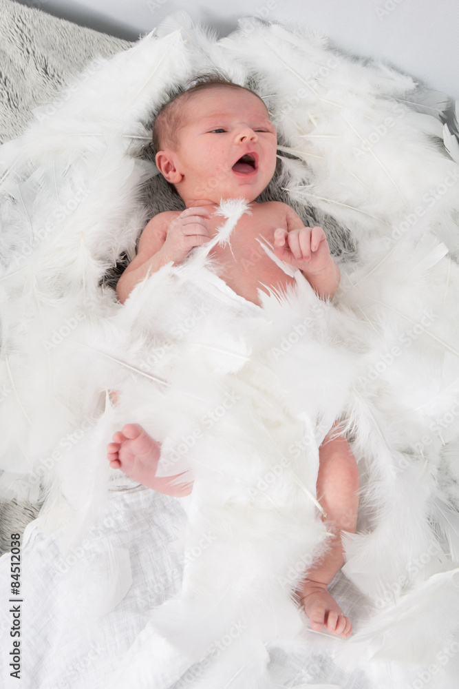 Newborn baby in white cotton and feathers Newborn baby in white cotton and feathers