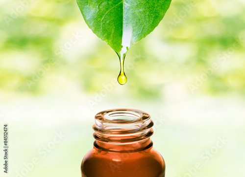 Herbal essence. Alternative healthy medicine. Skin care. Essential oil or water dropping from fresh leaf to the bottle. 