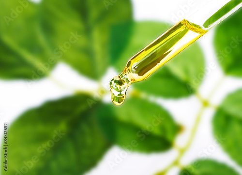 Wallpaper Mural Organic essence. Essential oil Skin care,alternative medicine.  Torontodigital.ca