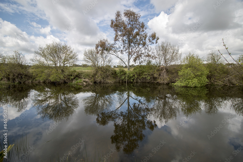 View of a beautiful scenic landscape of a fresh stream of water in the Alentejo, Portugal. View of a beautiful scenic landscape of a fresh stream of water in the Alentejo, Portugal.