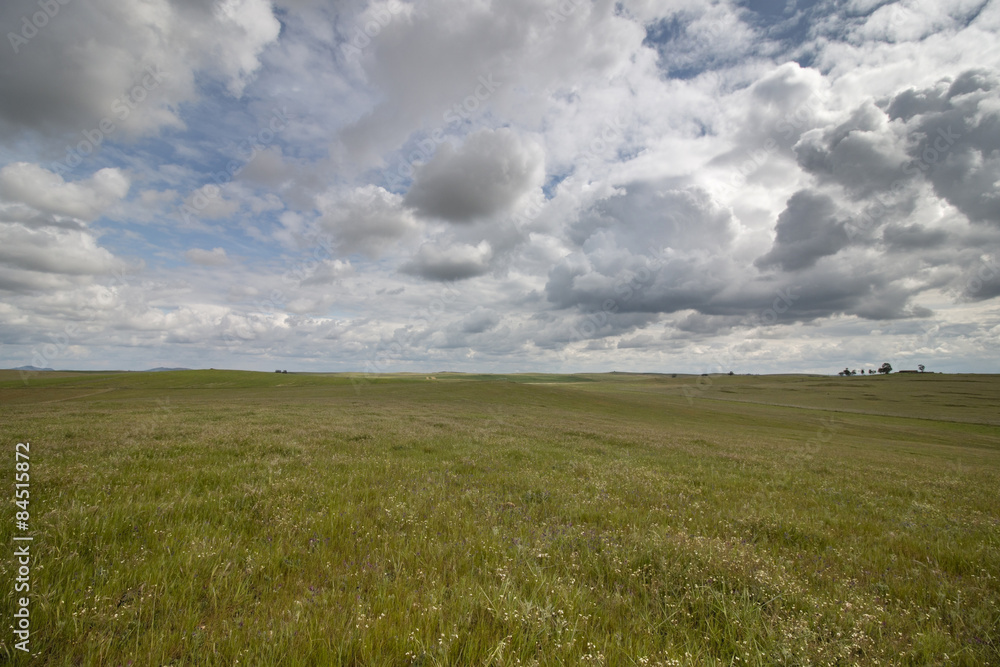 Wide landscape view of the beautiful spring countryside of the Alentejo region, Portugal. Wide landscape view of the beautiful spring countryside of the Alentejo region, Portugal.