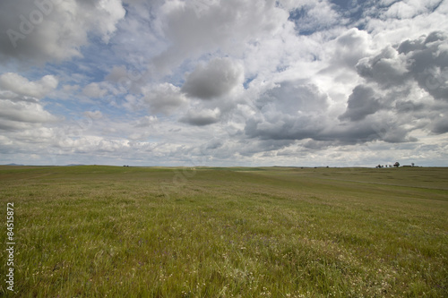 Wide landscape view of the beautiful spring countryside of the Alentejo region, Portugal.