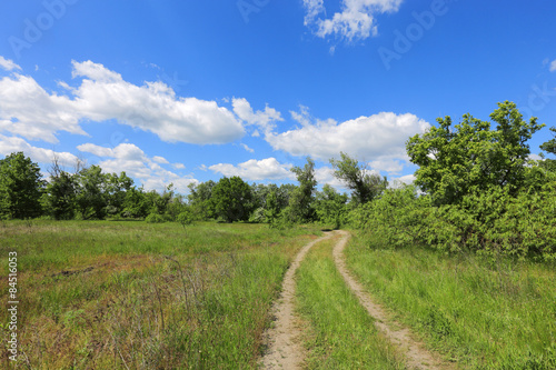 rut road in steppe