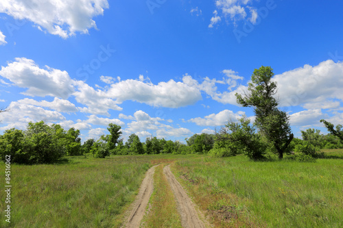 rural road across meadow in steppe