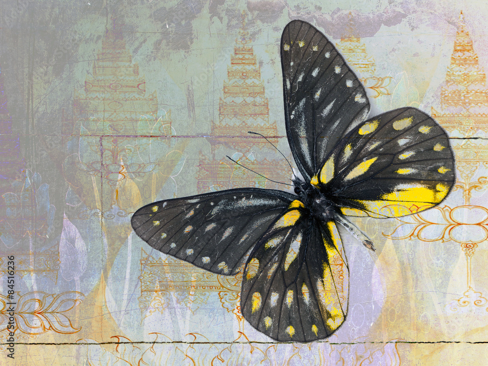 Obraz premium butterfly( Thai background )