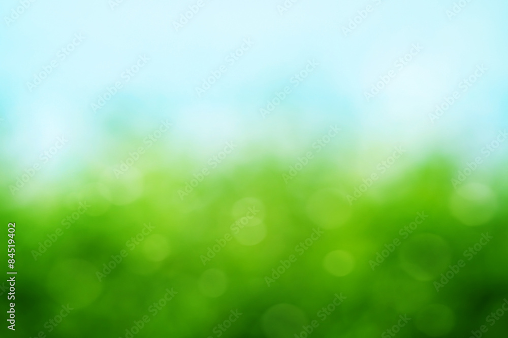 Fototapeta premium Spring background
