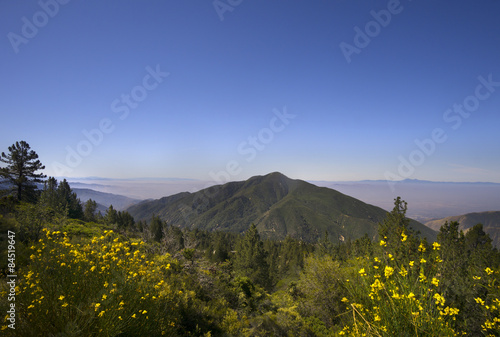 San Bernardino National Forest, Ca,USA  photo