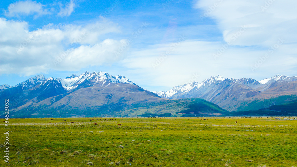 Summer Coming to foot of Mount Cook Summer Coming to foot of Mount Cook