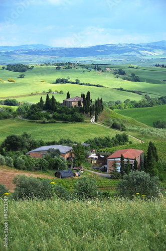 Typical Tuscan landscape. Italy