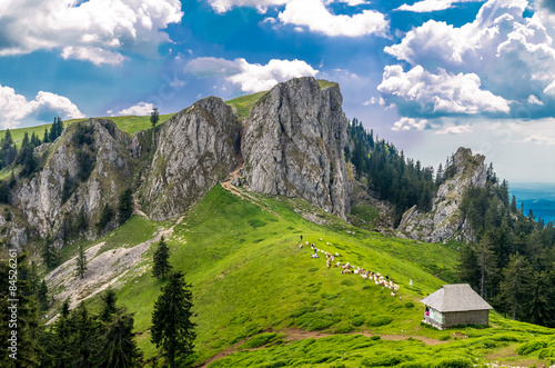 Photos Mountain landscape with sheepfold in Carpathian Mountains, Romania