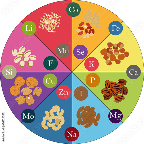 nuts and micronutrients photo