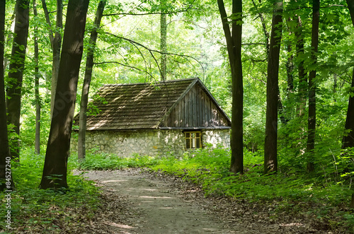 Forest hut with benches