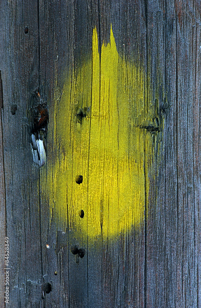 Old wood background, texture Old wood background, texture