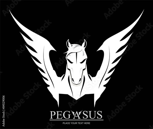 White Pegasus Horse Head. / suitable for team identity, sport club logo or mascot, insignia, embellishment, emblem, illustration for apparel, mascot, equestrian club, motorcycle community, etc.
