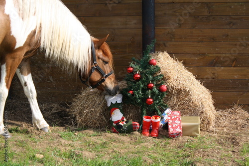 Ponette et ses cadeaux de Noël