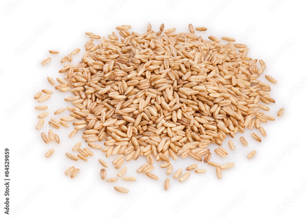 oat seeds