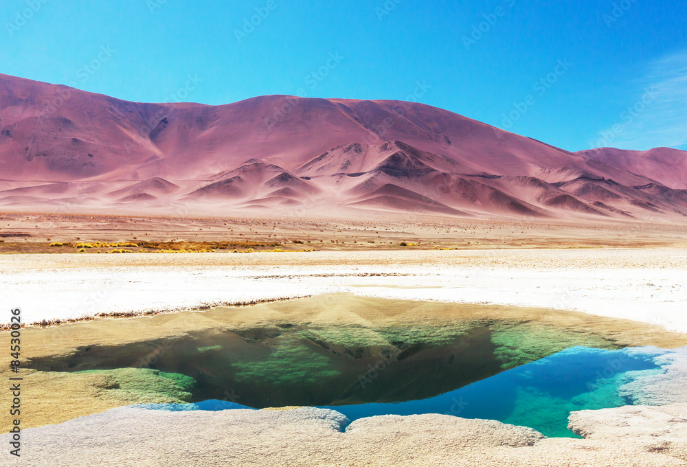 Naklejka premium Salinas in Argentina
