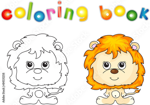 Funny and cute lion