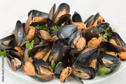 big group steamed fresh mussels on white plate