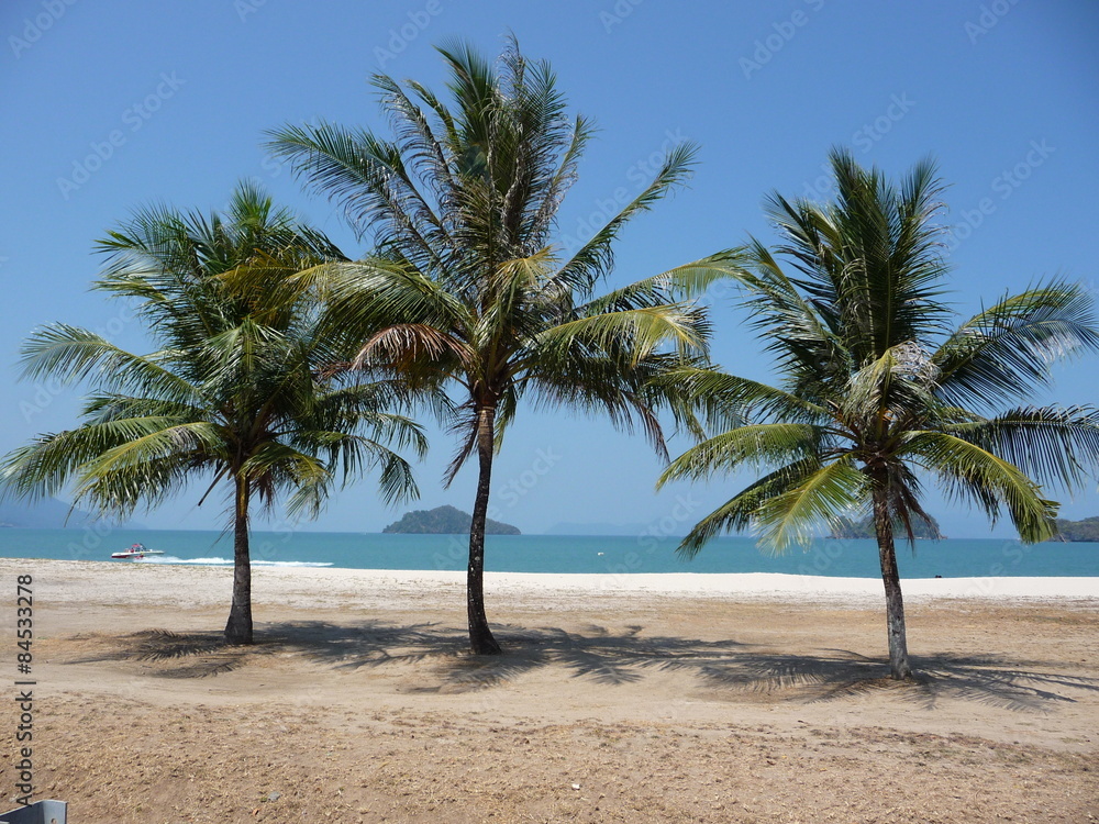 Drei Palmen am weissen Sandstrand mit blauem Meer im Hintergrund Drei Palmen am weissen Sandstrand mit blauem Meer im Hintergrund