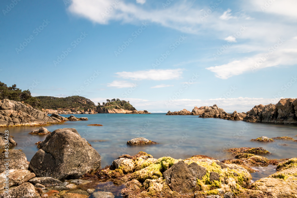 Fototapeta premium Coastal