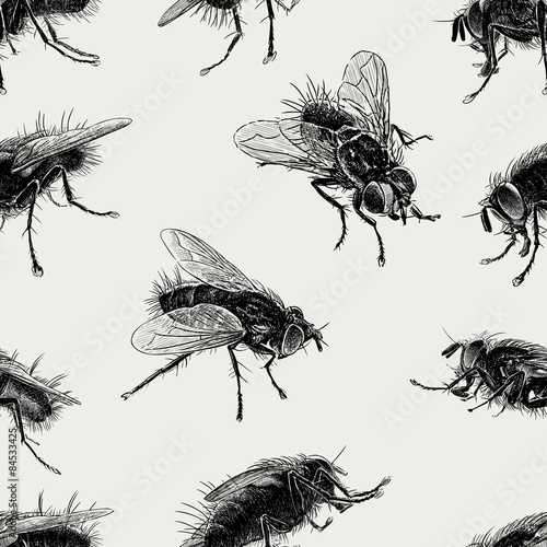 pattern of the big flies