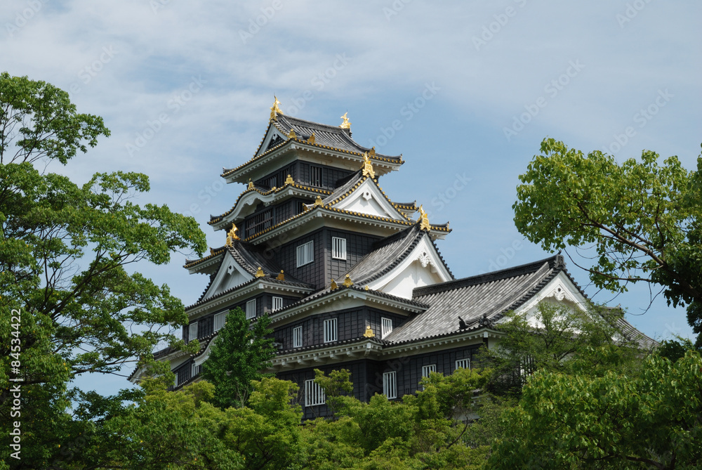 Okayama castle in Japan Okayama castle in Japan