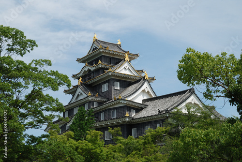 Okayama castle  in Japan
