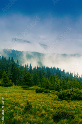 Fog covering the mountain forests.